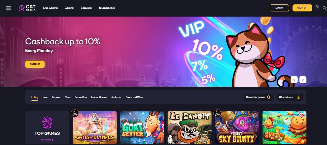 Скриншот бонусного раздела Cat Casino